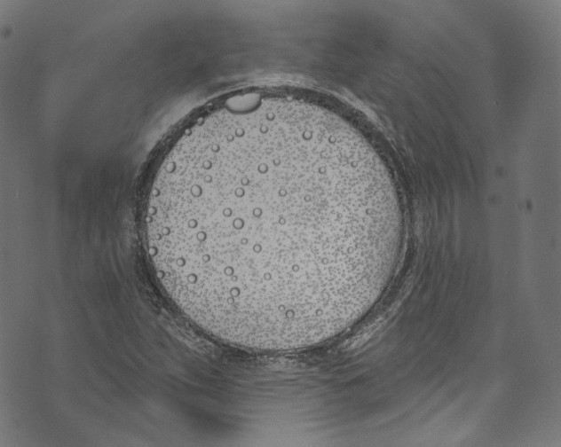 X0000073971263200609181442