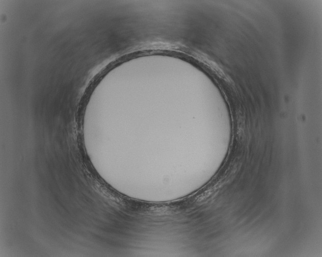 X0000073971264200609181442