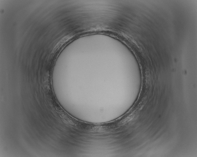 X0000073971265200609181442