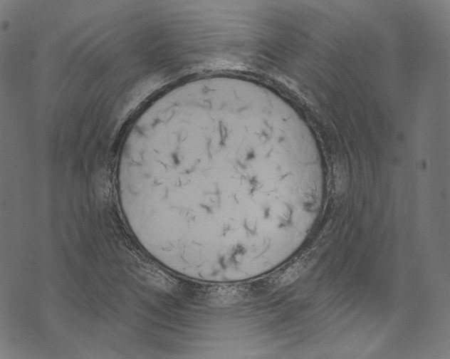 X0000073971266200609181442