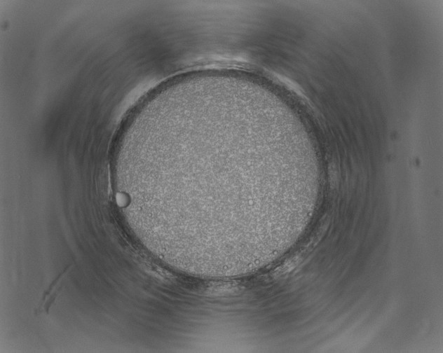 X0000073971267200609181442