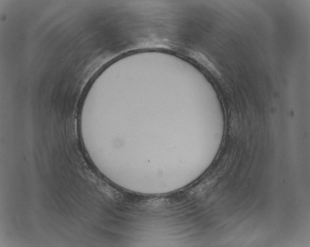 X0000073971268200609181442