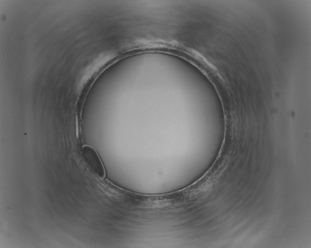 X0000073971269200609181442