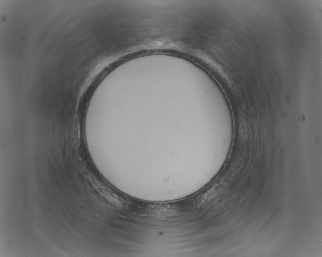 X0000073971270200609181442