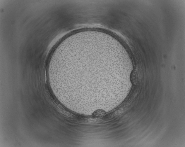 X0000073971271200609181442