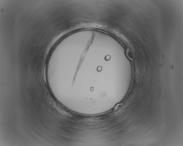 X0000073971272200609181442