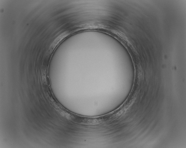 X0000073971273200609181442