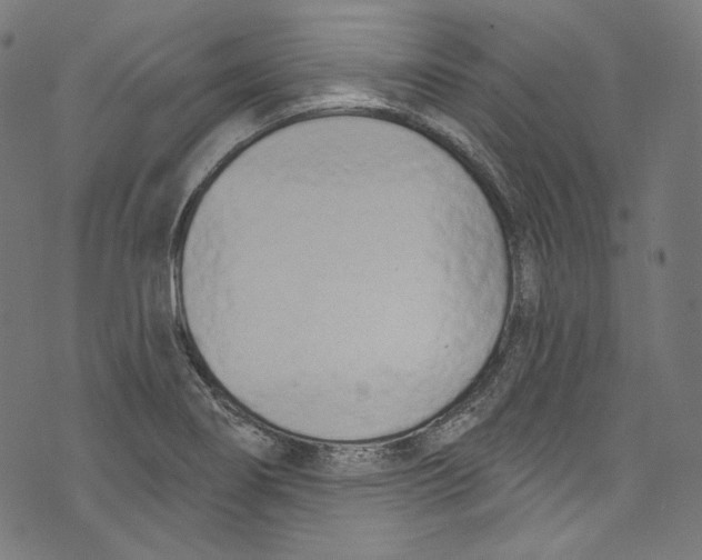 X0000073971274200609181442