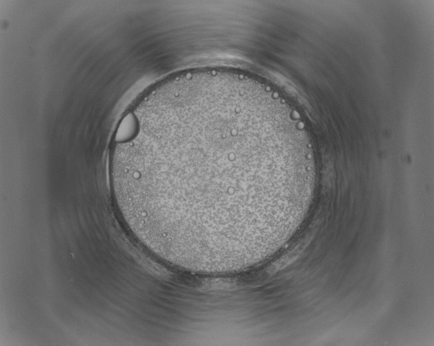 X0000073971275200609181442