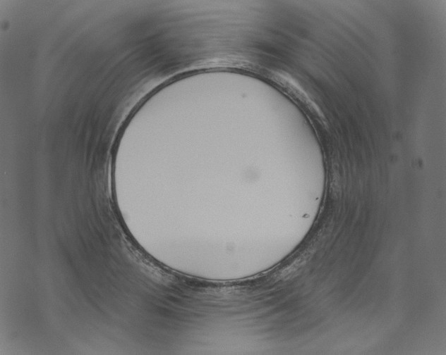 X0000073971276200609181442