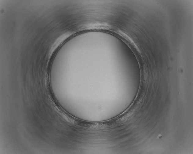 X0000073971277200609181442