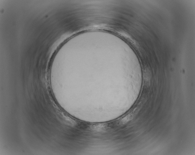 X0000073971278200609181442