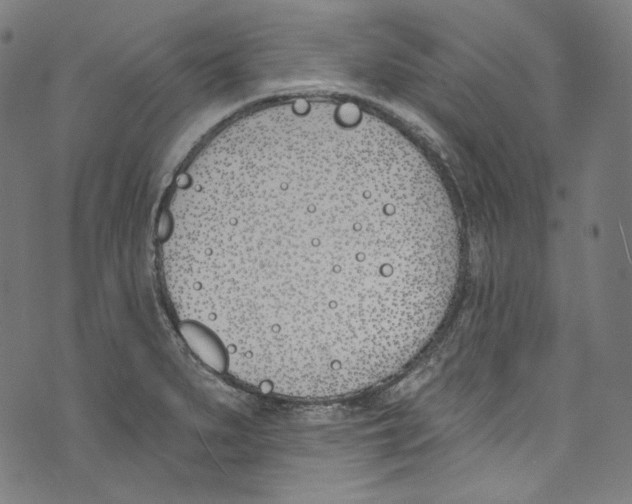 X0000073971279200609181442