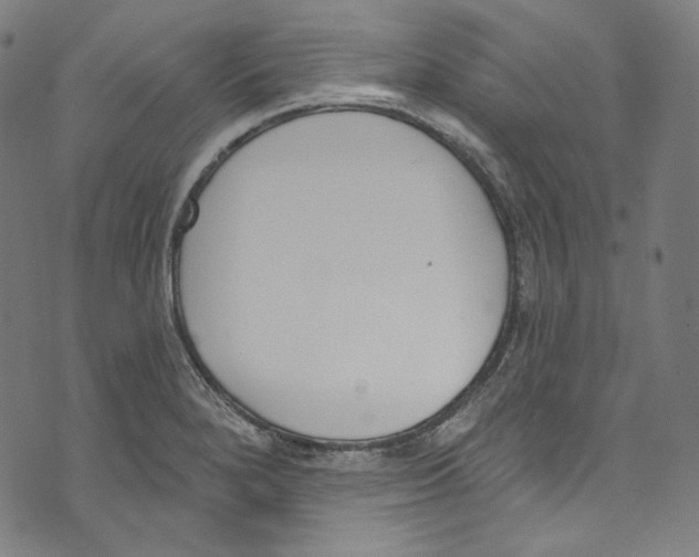 X0000073971280200609181442