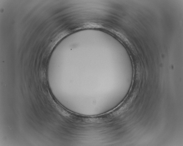 X0000073971281200609181442