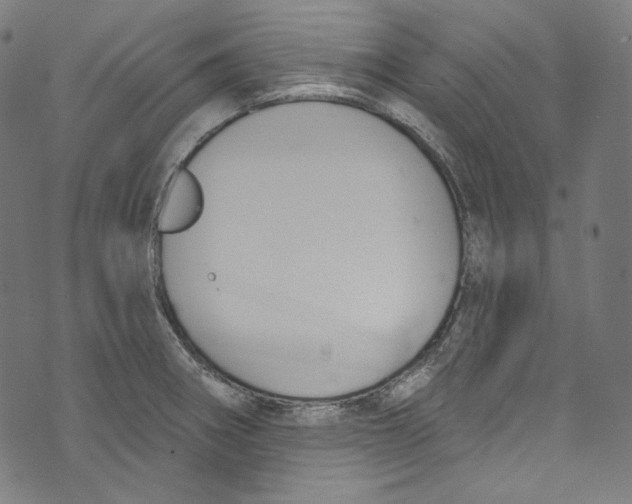 X0000073971282200609181442