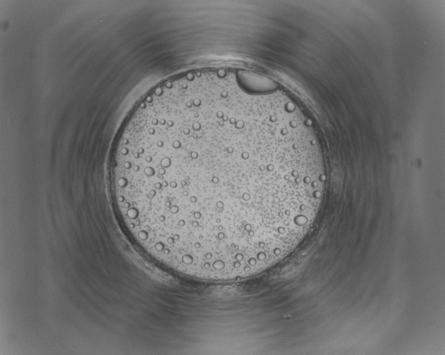 X0000073971283200609181442