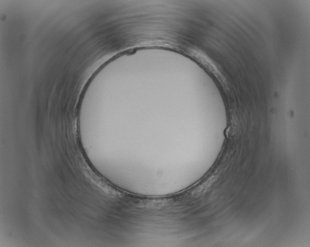 X0000073971284200609181442