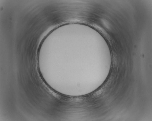 X0000073971286200609181442