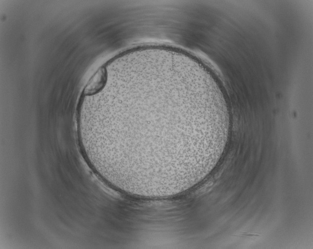 X0000073971287200609181442