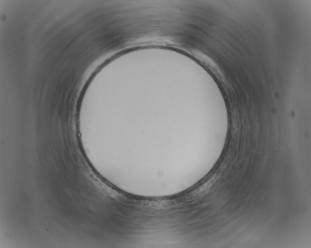 X0000073971288200609181442