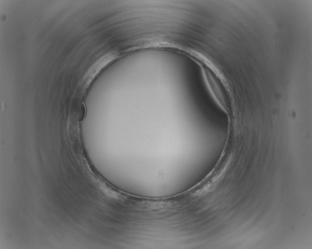 X0000073971289200609181442