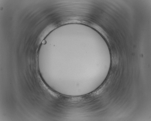 X0000073971290200609181442