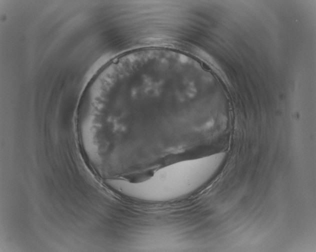 X0000073971291200609181442