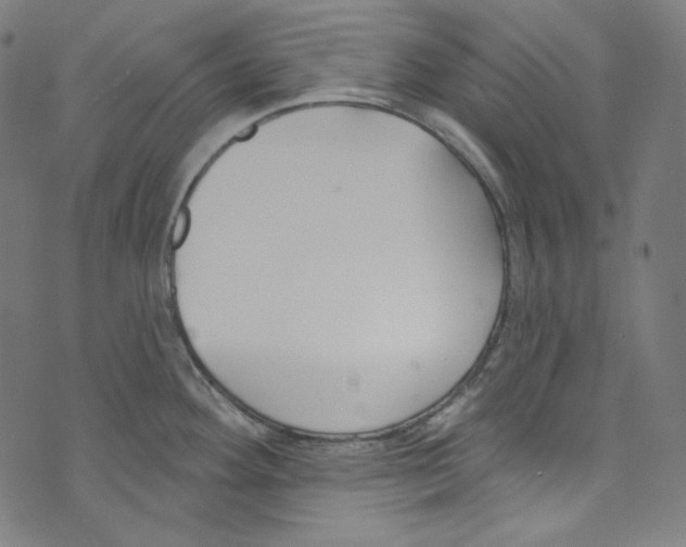 X0000073971292200609181442