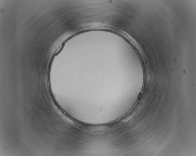 X0000073971293200609181442