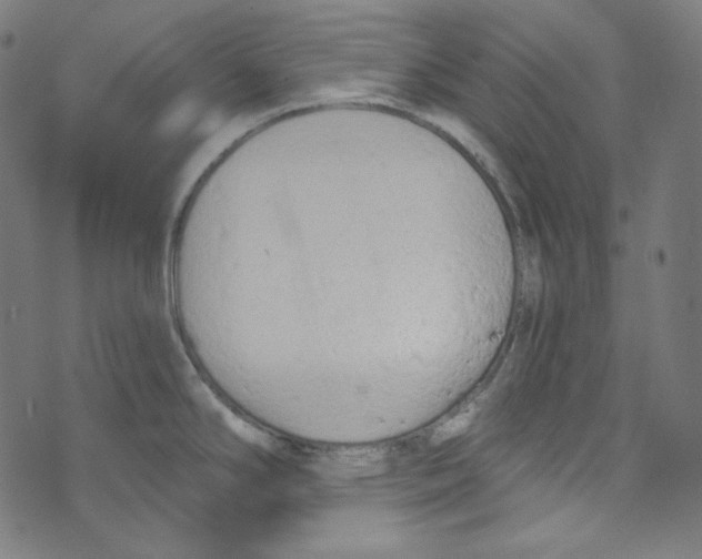 X0000073971294200609181442