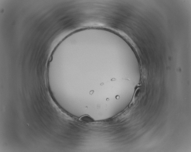 X0000073971295200609181442