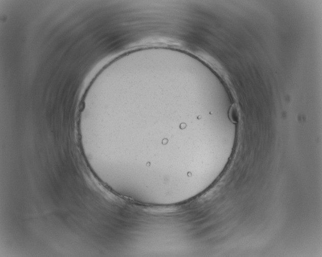 X0000073971296200609181442