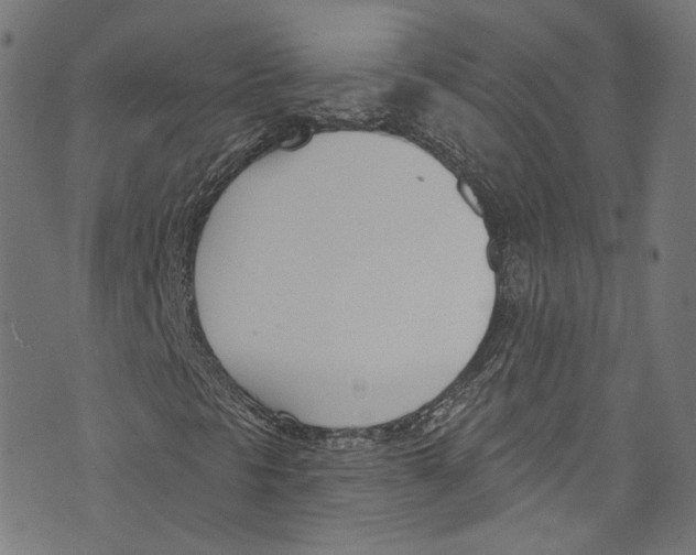 X0000073971297200609181441