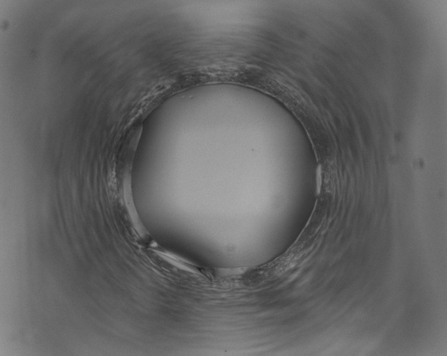 X0000073971298200609181441