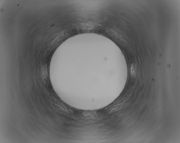 X0000073971299200609181441