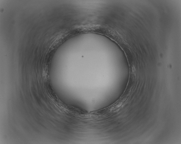 X0000073971300200609181441