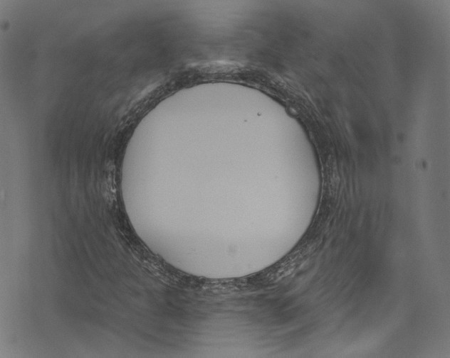 X0000073971301200609181441