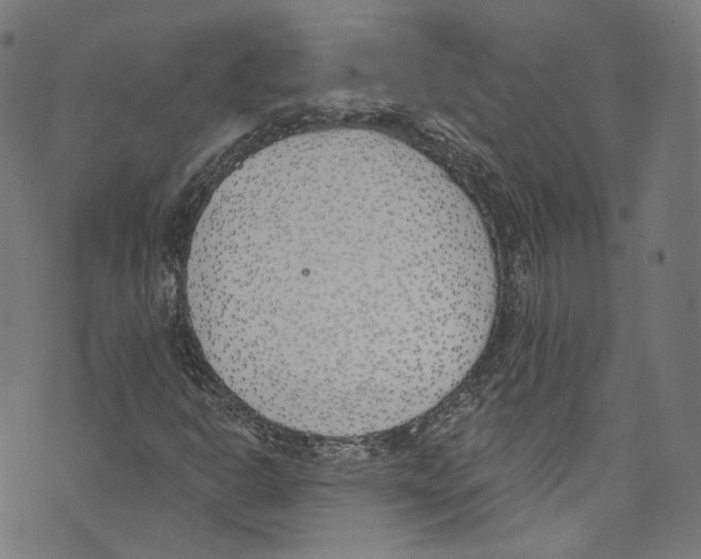 X0000073971302200609181441