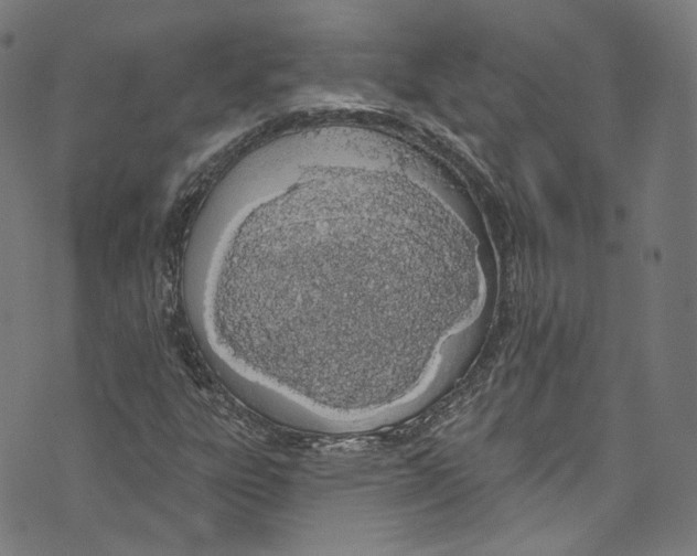 X0000073971303200609181441