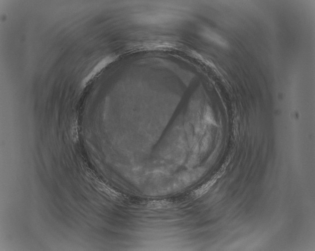 X0000073971306200609181441