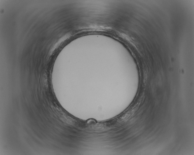 X0000073971307200609181441