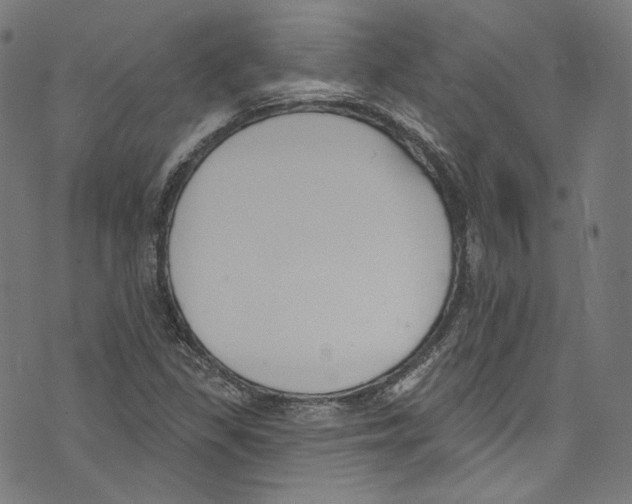 X0000073971309200609181441