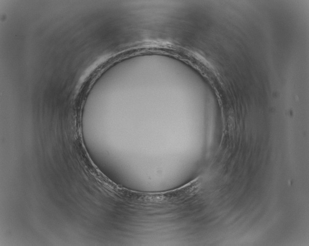 X0000073971310200609181441