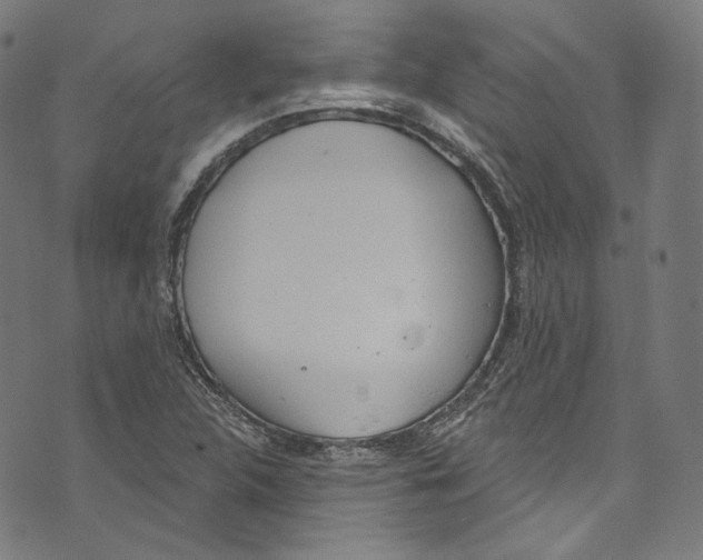 X0000073971312200609181441