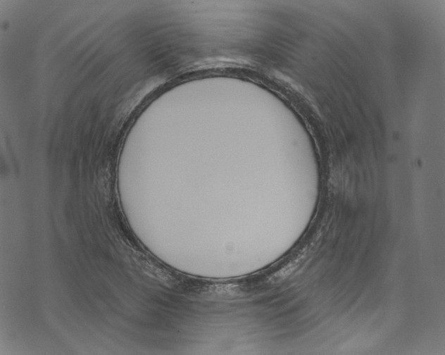 X0000073971313200609181441