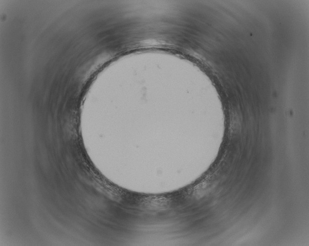 X0000073971314200609181441