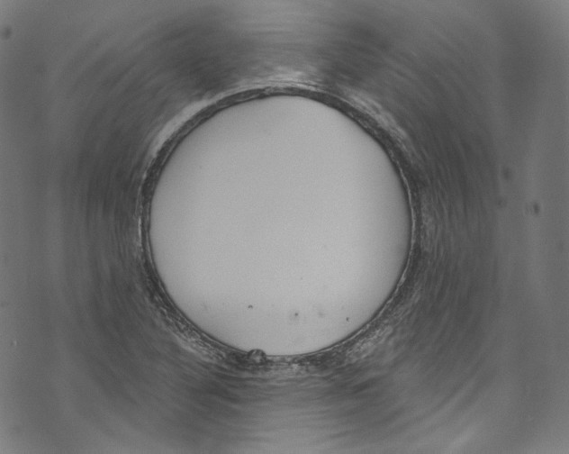 X0000073971316200609181441