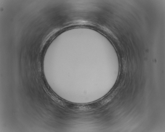 X0000073971318200609181441