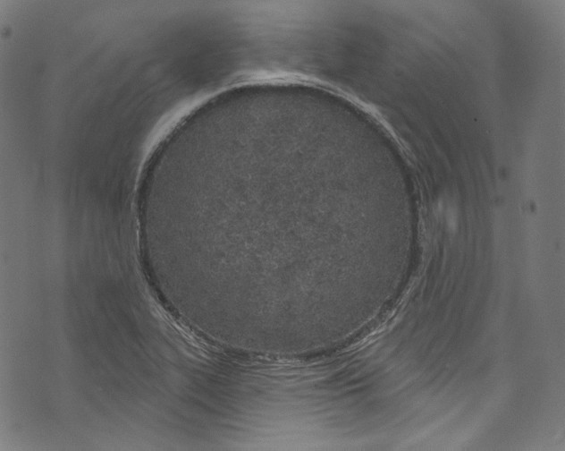 X0000073971319200609181441